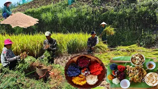 Full video 100 days to build a new life | fruits of labor and making rice to celebrate new rice