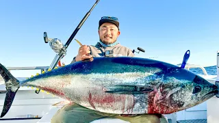 Pursuit of the BAY AREA Bluefin Tuna