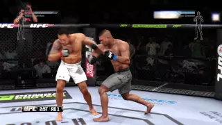 Fabricio Werdum vs Alistair Overeem