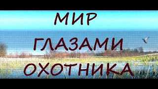 ОХОТА ТОП 100. Подборка лучших моментов сезона 2017-2018 и точных выстрелов.