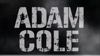 Adam Cole NJPW and ROH Theme Mashup /w Bullet Club theme