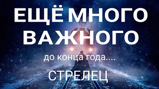 СТРЕЛЕЦ‼️С Вами Это Произойдёт до конца года. 🔮Таро расклад от Татьяны КЛЕВЕР. КЛЕВЕР ТАРО🍀.