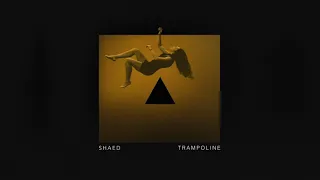 SHAED: Trampoline (Audio)