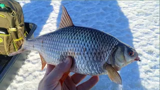 Плотва на мормышку с меляка на Рыбинском водохранилище.