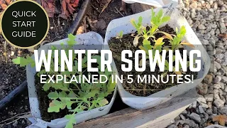 Winter Sowing in 5 Minutes! Quick Start Guide To Get You Started With the WS Seed Starting Method!