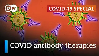 Antibody drugs and blood plasma therapy: Livesavers for COVID patients? | COVID-19 Special