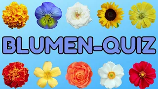 Blumen Quiz🌻🌷🌹🪻🏵️ Teste dein Wissen📖🤔❓