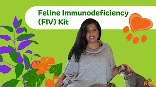 NHV Feline Immunodeficiency Virus Support Kit For Pets