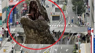 6 GODZILLAS REALES CAPTADOS EN CAMARA