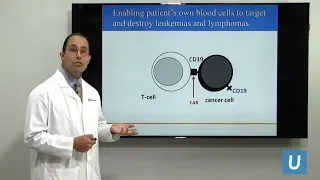 CAR T-cell Therapy for Pediatric Cancer | Satiro de Oliveira, MD | UCLAMDChat