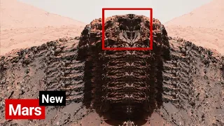 NASA's Mars Rover Capture 360° Unbelievable Shocking 4K Footage of Rocknest Site On Mars - Sol 773