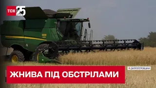 🚜 Ракети над комбайнами! Дніпропетровські аграрії жнивують, попри небезпеку обстрілів