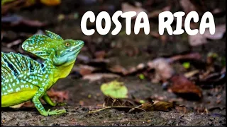 COSTA RICA IN 4K 60fps HDR (ULTRA HD)