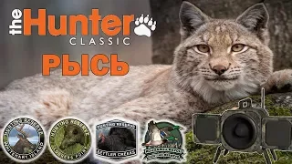 Охота на рысь (bobcat) + Получение уникального трофея! theHunter Classic # 9