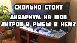 Сколько стоит аквариум на 1000 литров и рыбы в нем? (Мурена, Африканская щука, Арована..)