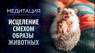 Духовная практика:  "Исцеление смехом. Образы животных"  Медитация от болезней. Часть 2. Сидхи