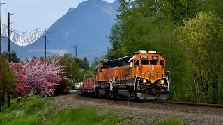 Amtrak and BNSF Trains on Stevens Pass - Cascade Mountains