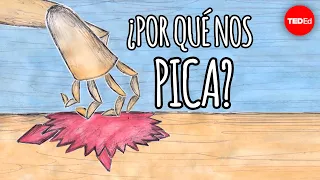 ¿Por qué nos pica? - Emma Bryce