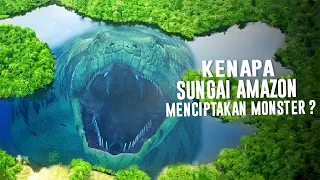 Misteri Kenapa Sungai Amazon Menciptakan Monster