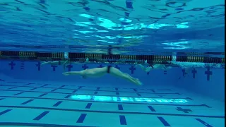 Swimming Technique - Body Dolphin Kick on Stomach