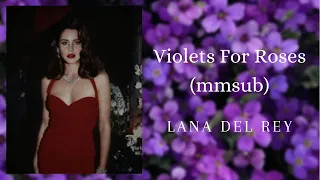 Violets For Roses_mmsub // Lana Del Rey