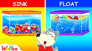 Sink or Float with Wolfoo! - Cool Science Experiments for Kids To Do at Home | Wolfoo Family