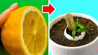 21 UNEXPECTED EGG HACKS