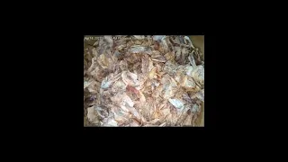 Madaling Araw sa Banica Dried Fish Market Roxas City Capiz (Seafood Capital of the Philippines)