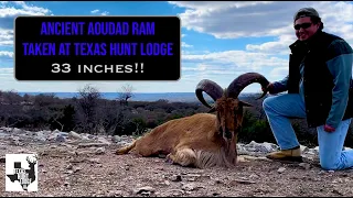 Texas Aoudad Hunting at Texas Hunt Lodge - Texas Exotic Hunt Series