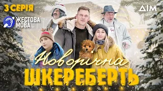 Жестова мова | Новорічна шкереберть | УКРАЇНСЬКИЙ ФІЛЬМ ДЛЯ ВСІЄЇ РОДИНИ | Серія 3