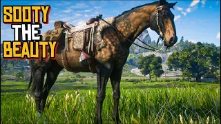 RDR2 - How to Get The Sooty Buckskin Dutch Warmblood For Free | Easy and Early, Full Guide