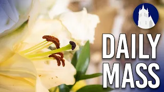 Daily Mass LIVE at St. Mary’s | May 1, 2024