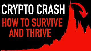 Crypto Crash: Bear Market Survival Guide