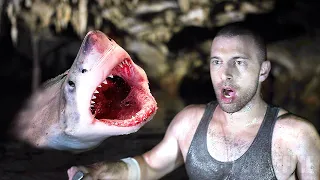 Shark Survival | Film HD