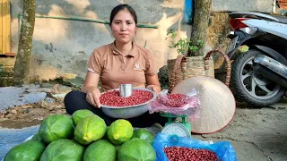 Harvesting Peanut Fields, Drying, Separating the Seeds Go to the Market sell | Tran Thi Huong