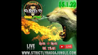 RAGGA JUNGLE DRUM AND BASS MIX 2022 - reggae dnb - LIVE