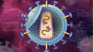 HIV / AIDS Replication Animation Video