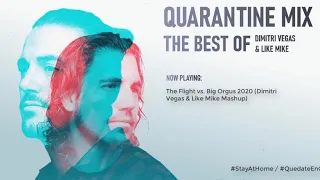 The Best of Dimitri Vegas & Like Mike / Quaratine Mix