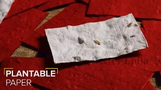 Plantable Paper