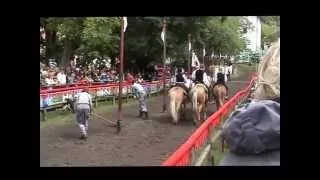 Oswald v. Wolkenstein Ritt 2011 Gruppe Meran