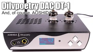 Dilvpoetry & AOSHIDA DAC DT-1 — toys for adult boys