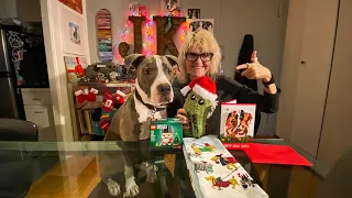 Hudson & Karla Unboxing Christmas Gifts from Channel Supporter Rita