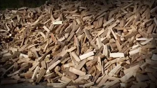 Firewood Cult Documentary