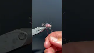 HIGHLY PRODUCTIVE: Duracell Euro Nymph Fly