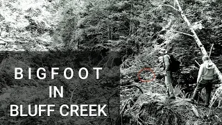 -Bigfoot In Bluff Creek- (+Strange Vocalization Captured!!!) A documentary