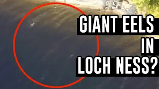 Loch Ness Mystery: Did A Drone Really Capture Proof of the Loch Ness Monster?