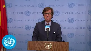 France on Mali - Security Council Media Stakeout