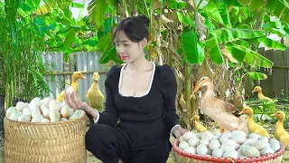 [365day]A 19-year-old single mother havesting 999 Duck eggs, Chicken eggs sell at market - Lý Thị Ca