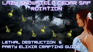 BDO | Get your Elixirs done with my lazy Snowfield Cedar Sap Rotation | Lethal Destruction Guide