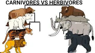 Carnivores vs herbivores turnament animation—all animation dc2